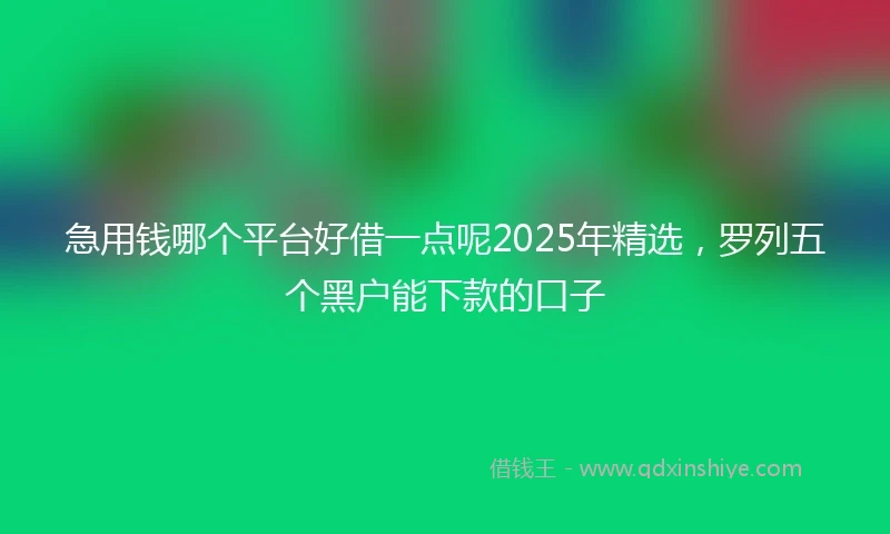 急用钱哪个平台好借一点呢2025年精选，罗列五个黑户能下款的口子