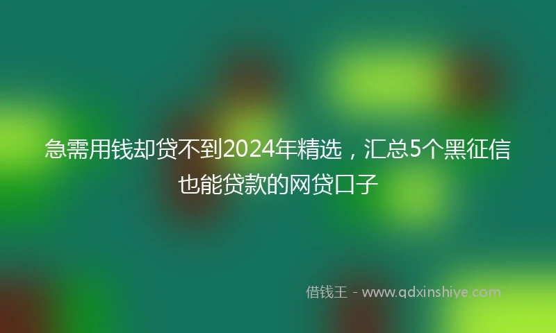 急需用钱却贷不到2024年精选，汇总5个黑征信也能贷款的网贷口子