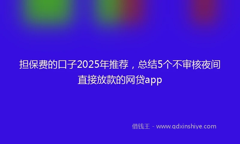 担保费的口子2025年推荐，总结5个不审核夜间直接放款的网贷app