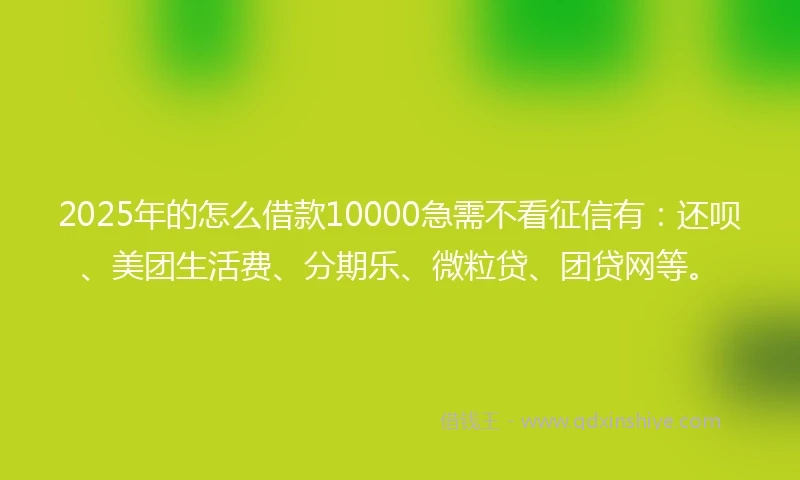2025年的怎么借款10000急需不看征信有：还呗、美团生活费、分期乐、微粒贷、团贷网等。