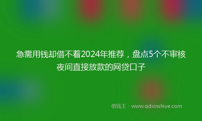 急需用钱却借不着2024年推荐，盘点5个不审核夜间直接放款的网贷口子