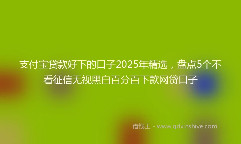 支付宝贷款好下的口子2025年精选，盘点5个不看征信无视黑白百分百下款网贷口子
