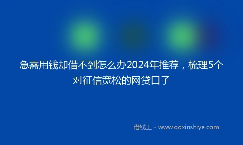 急需用钱却借不到怎么办2024年推荐，梳理5个对征信宽松的网贷口子