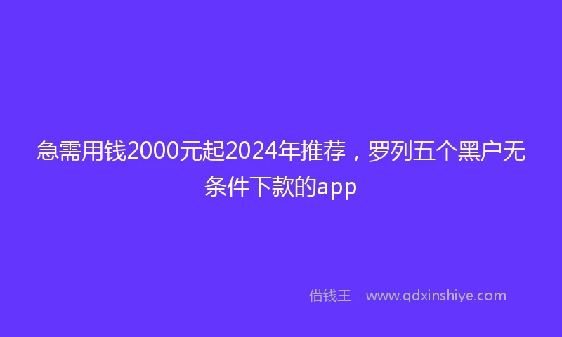 急需用钱2000元起2024年推荐，罗列五个黑户无条件下款的app