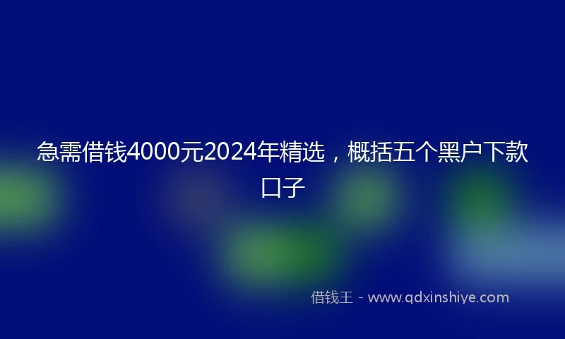 急需借钱4000元2024年精选，概括五个黑户下款口子