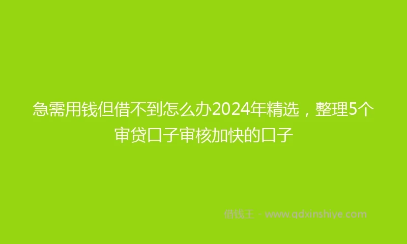 急需用钱但借不到怎么办2024年精选，整理5个审贷口子审核加快的口子