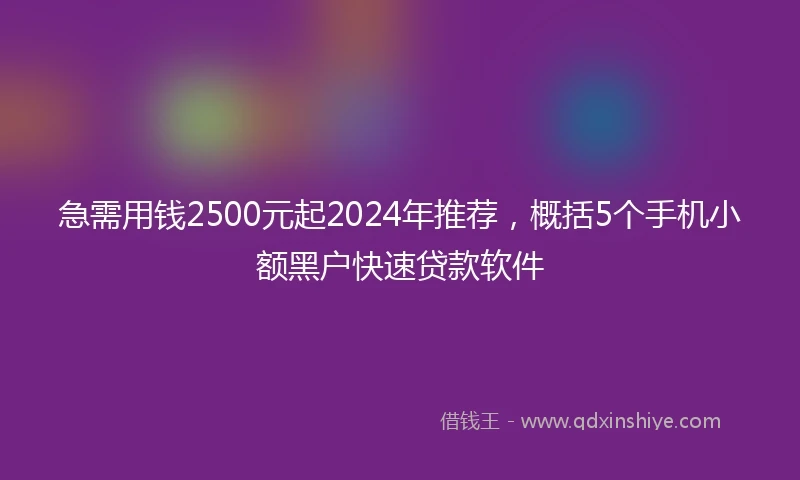 急需用钱2500元起2024年推荐，概括5个手机小额黑户快速贷款软件