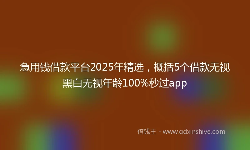 急用钱借款平台2025年精选，概括5个借款无视黑白无视年龄100%秒过app