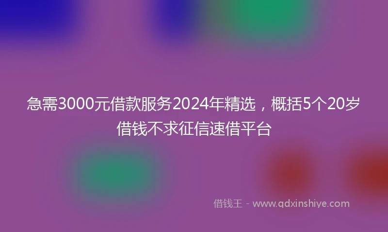 急需3000元借款服务2024年精选，概括5个20岁借钱不求征信速借平台