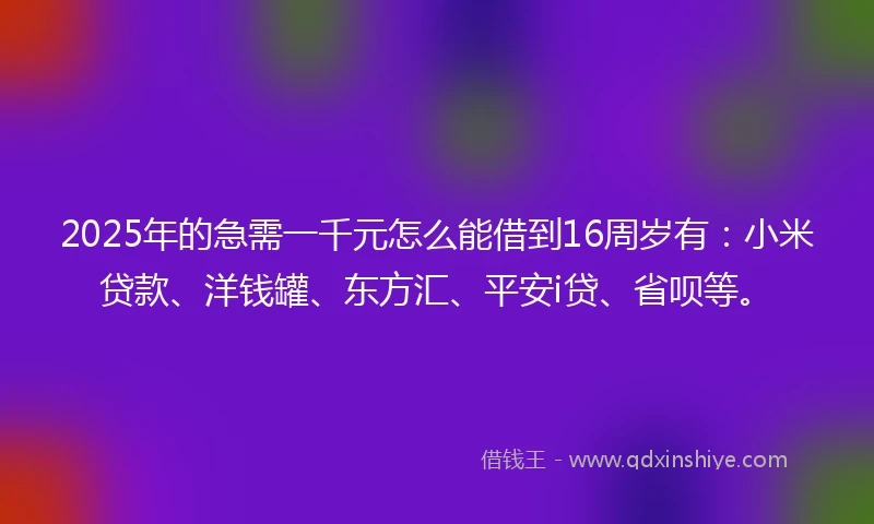 2025年的急需一千元怎么能借到16周岁有：小米贷款、洋钱罐、东方汇、平安i贷、省呗等。