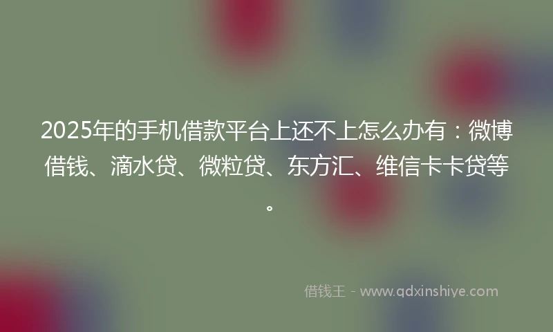 2025年的手机借款平台上还不上怎么办有：微博借钱、滴水贷、微粒贷、东方汇、维信卡卡贷等。