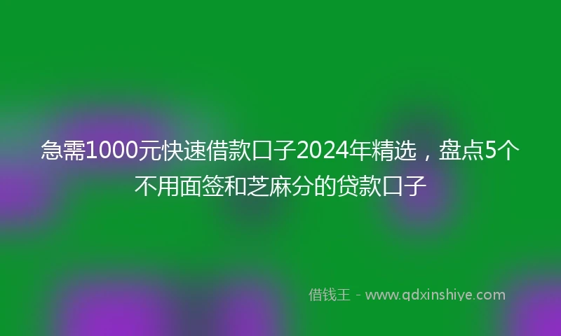 急需1000元快速借款口子2024年精选，盘点5个不用面签和芝麻分的贷款口子
