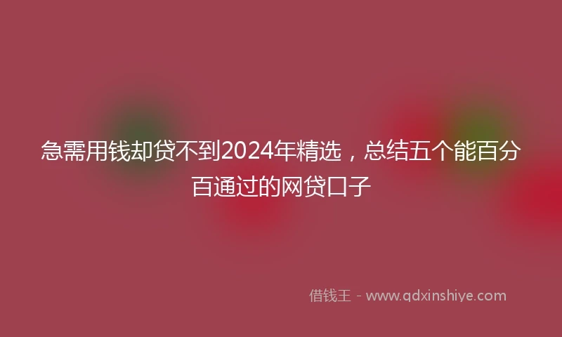 急需用钱却贷不到2024年精选，总结五个能百分百通过的网贷口子
