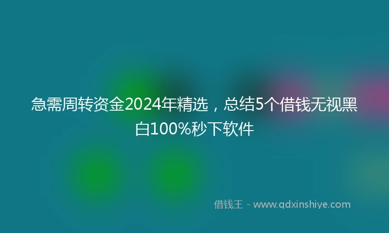 急需周转资金2024年精选，总结5个借钱无视黑白100%秒下软件