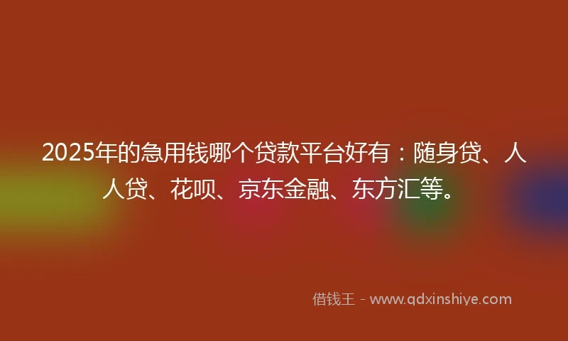 2025年的急用钱哪个贷款平台好有：随身贷、人人贷、花呗、京东金融、东方汇等。