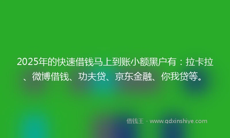 2025年的快速借钱马上到账小额黑户有：拉卡拉、微博借钱、功夫贷、京东金融、你我贷等。