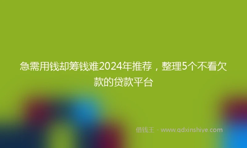 急需用钱却筹钱难2024年推荐，整理5个不看欠款的贷款平台