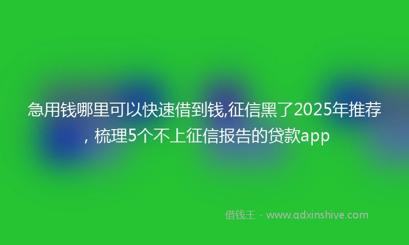 急用钱哪里可以快速借到钱,征信黑了2025年推荐，梳理5个不上征信报告的贷款app