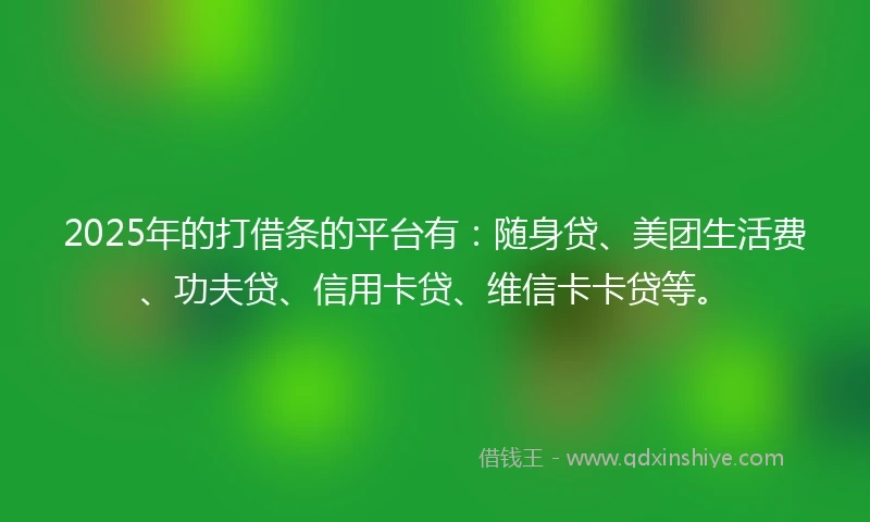 2025年的打借条的平台有：随身贷、美团生活费、功夫贷、信用卡贷、维信卡卡贷等。
