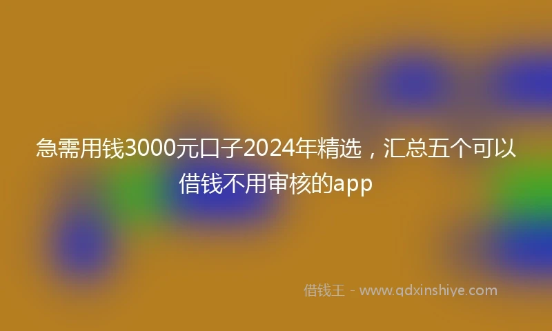 急需用钱3000元口子2024年精选，汇总五个可以借钱不用审核的app