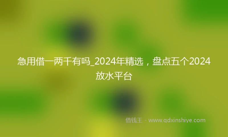 急用借一两千有吗_2024年精选，盘点五个2024放水平台