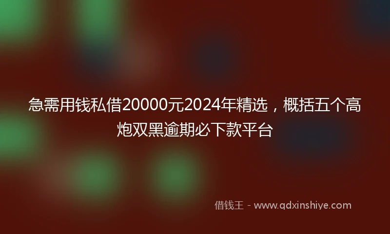 急需用钱私借20000元2024年精选，概括五个高炮双黑逾期必下款平台