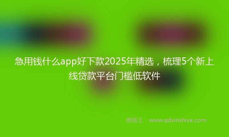 急用钱什么app好下款2025年精选，梳理5个新上线贷款平台门槛低软件