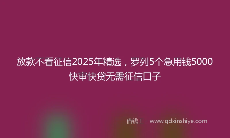 放款不看征信2025年精选，罗列5个急用钱5000快审快贷无需征信口子