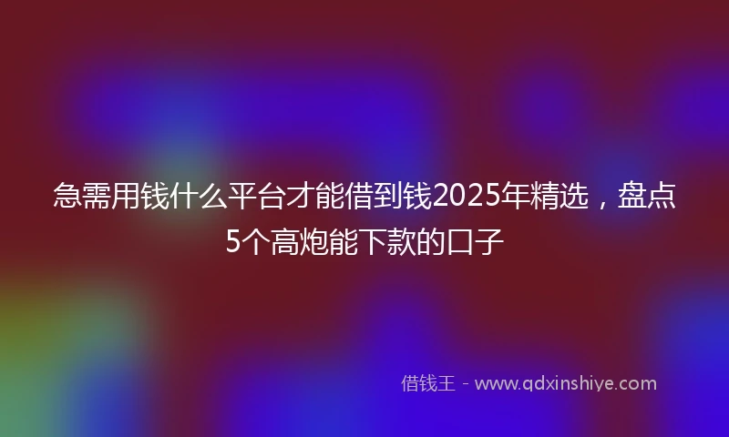 急需用钱什么平台才能借到钱2025年精选，盘点5个高炮能下款的口子