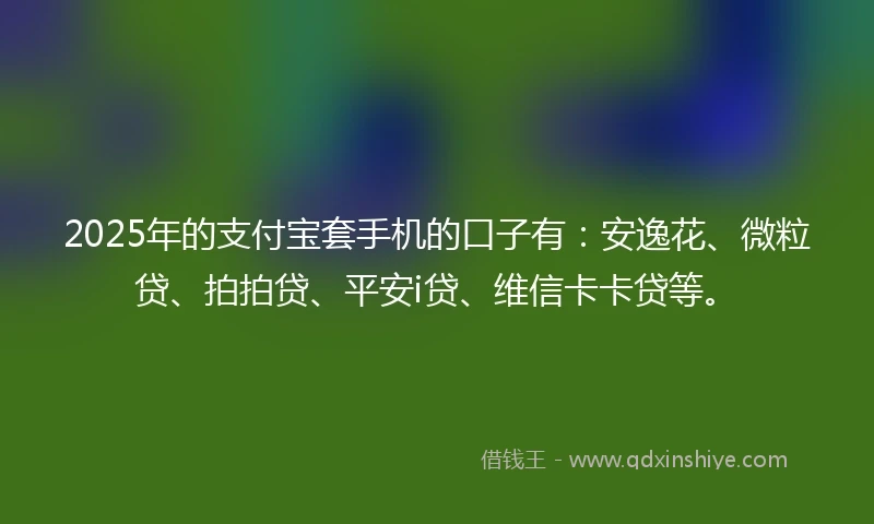 2025年的支付宝套手机的口子有：安逸花、微粒贷、拍拍贷、平安i贷、维信卡卡贷等。
