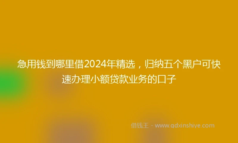 急用钱到哪里借2024年精选，归纳五个黑户可快速办理小额贷款业务的口子