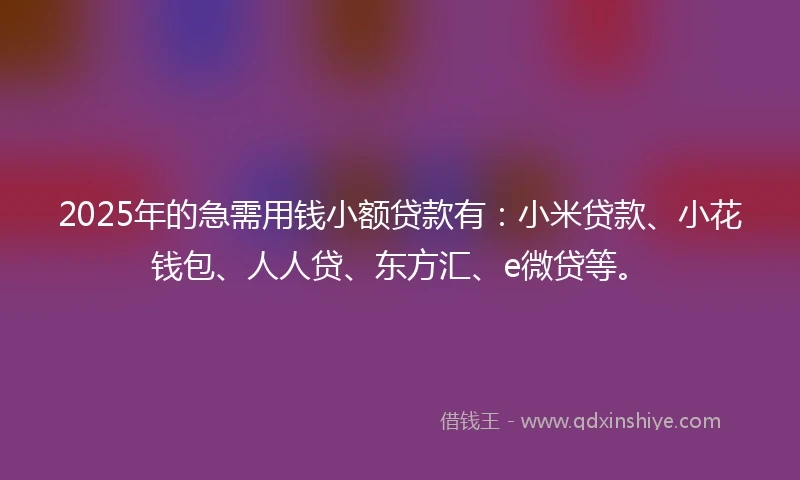 2025年的急需用钱小额贷款有：小米贷款、小花钱包、人人贷、东方汇、e微贷等。