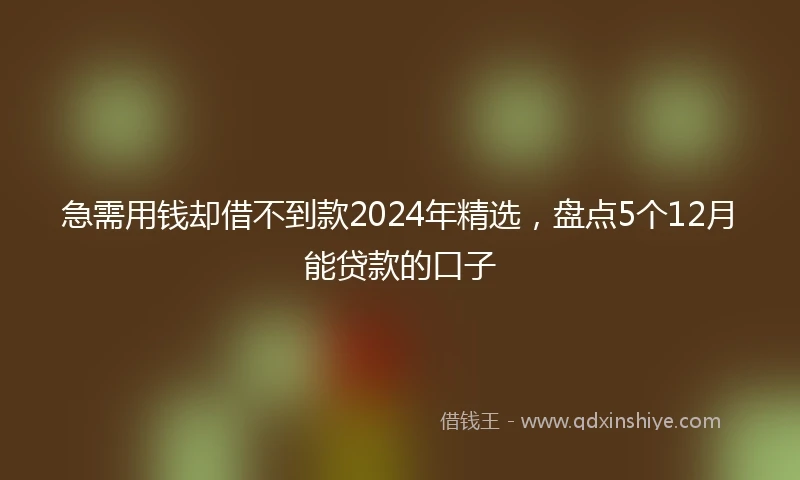 急需用钱却借不到款2024年精选，盘点5个12月能贷款的口子
