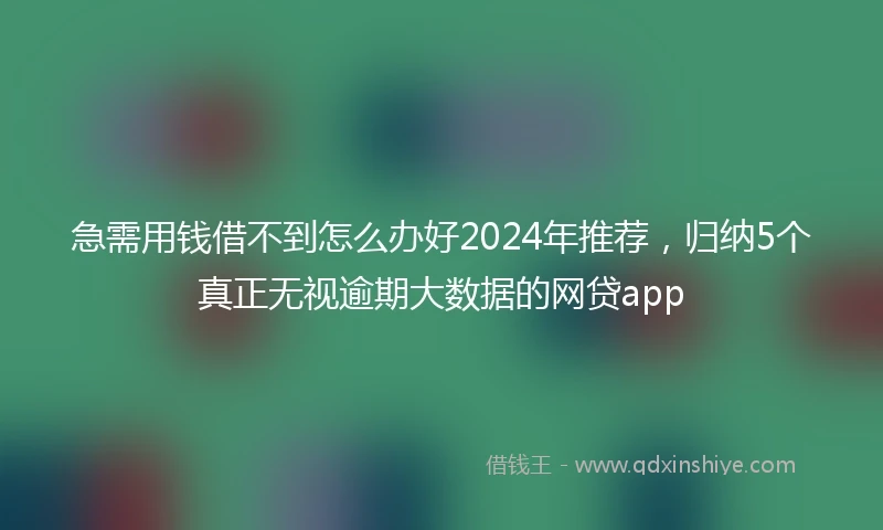 急需用钱借不到怎么办好2024年推荐，归纳5个真正无视逾期大数据的网贷app