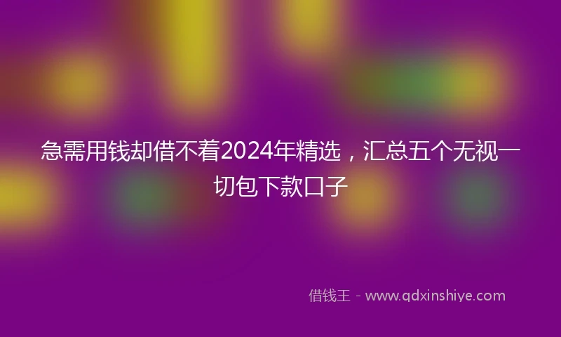 急需用钱却借不着2024年精选，汇总五个无视一切包下款口子