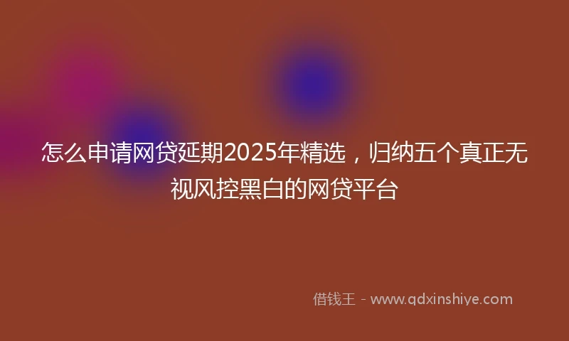 怎么申请网贷延期2025年精选，归纳五个真正无视风控黑白的网贷平台