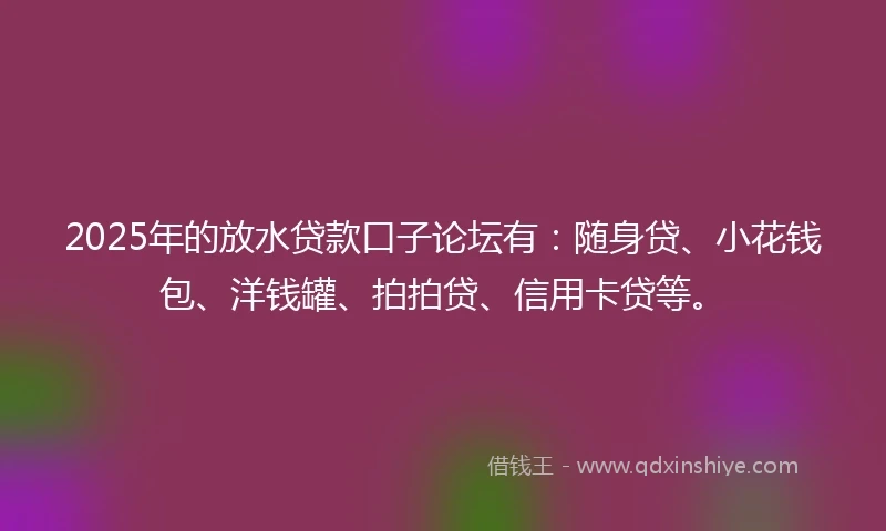 2025年的放水贷款口子论坛有：随身贷、小花钱包、洋钱罐、拍拍贷、信用卡贷等。
