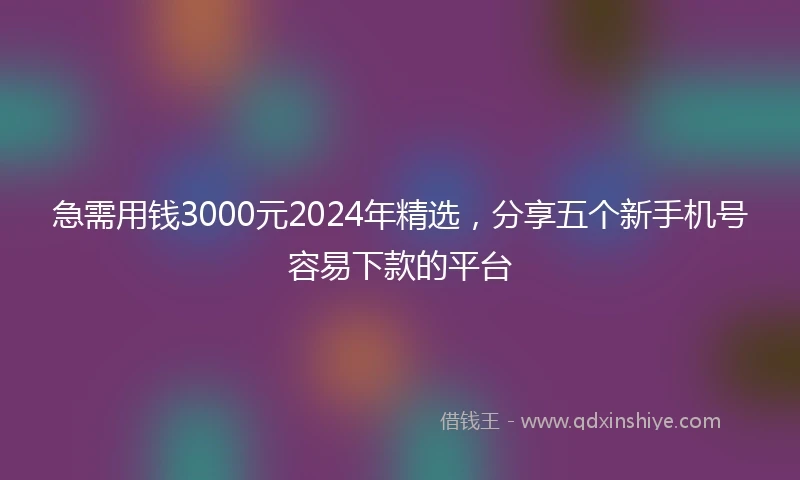 急需用钱3000元2024年精选，分享五个新手机号容易下款的平台