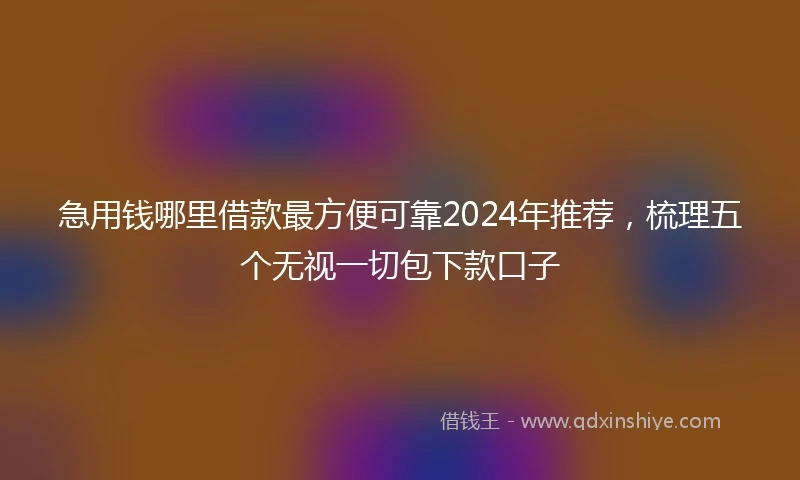 急用钱哪里借款最方便可靠2024年推荐，梳理五个无视一切包下款口子