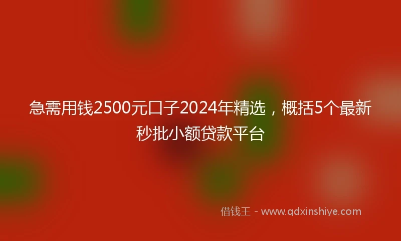 急需用钱2500元口子2024年精选，概括5个最新秒批小额贷款平台