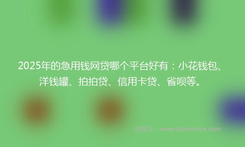 2025年的急用钱网贷哪个平台好有：小花钱包、洋钱罐、拍拍贷、信用卡贷、省呗等。