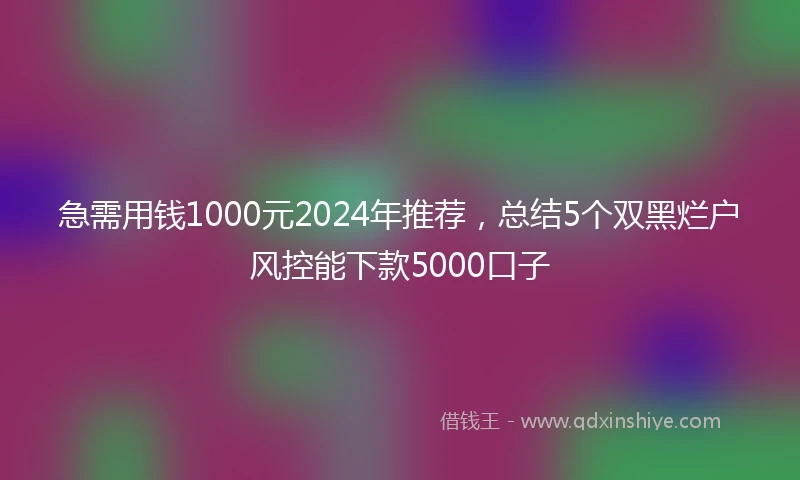 急需用钱1000元2024年推荐，总结5个双黑烂户风控能下款5000口子