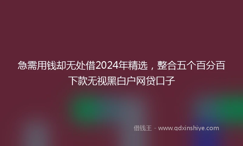 急需用钱却无处借2024年精选，整合五个百分百下款无视黑白户网贷口子