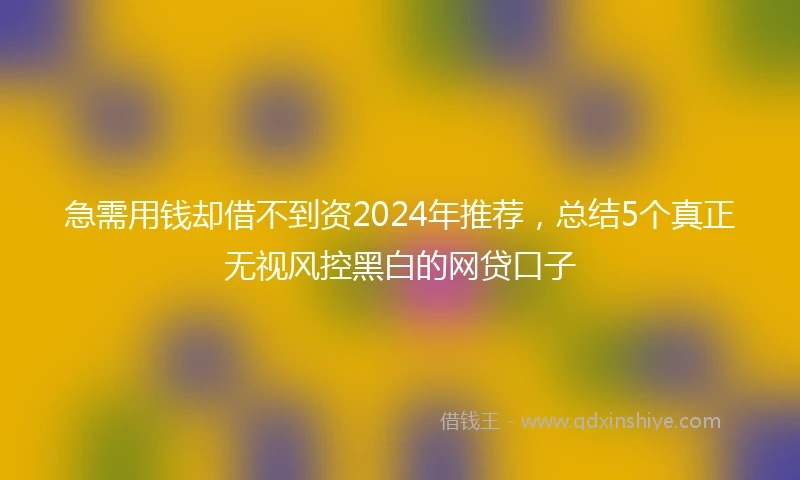 急需用钱却借不到资2024年推荐，总结5个真正无视风控黑白的网贷口子