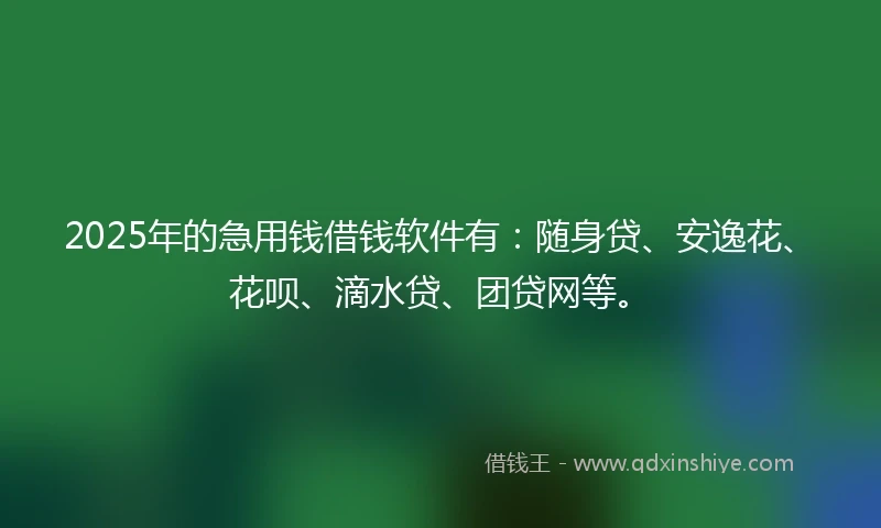 2025年的急用钱借钱软件有：随身贷、安逸花、花呗、滴水贷、团贷网等。