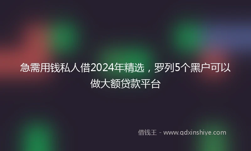 急需用钱私人借2024年精选，罗列5个黑户可以做大额贷款平台