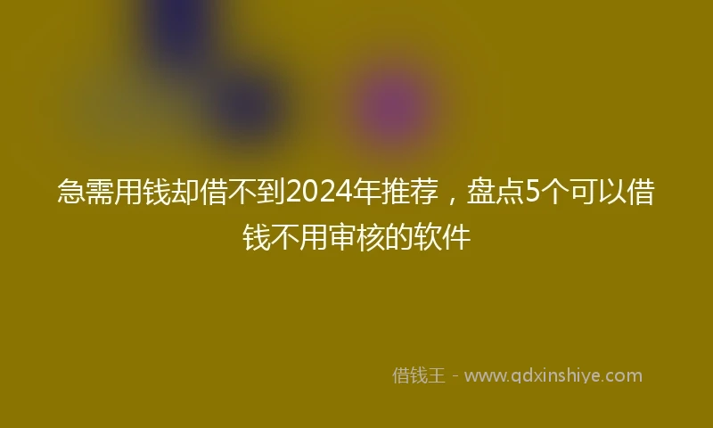 急需用钱却借不到2024年推荐，盘点5个可以借钱不用审核的软件