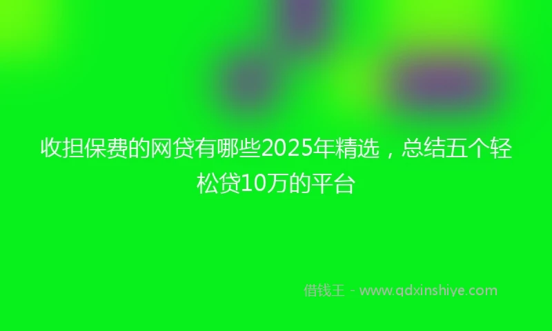 收担保费的网贷有哪些2025年精选，总结五个轻松贷10万的平台