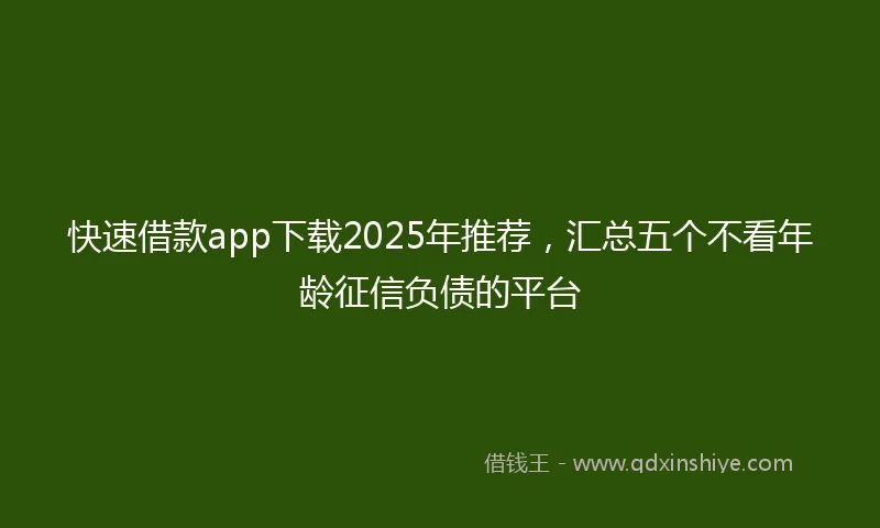 快速借款app下载2025年推荐，汇总五个不看年龄征信负债的平台
