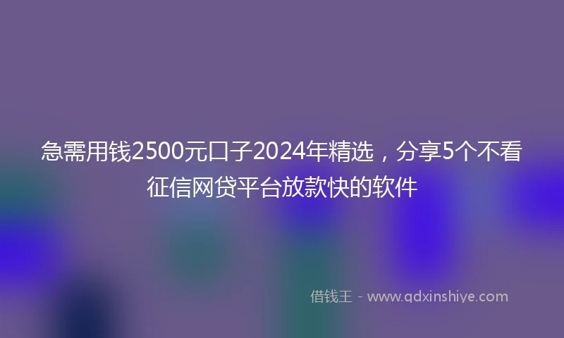急需用钱2500元口子2024年精选，分享5个不看征信网贷平台放款快的软件